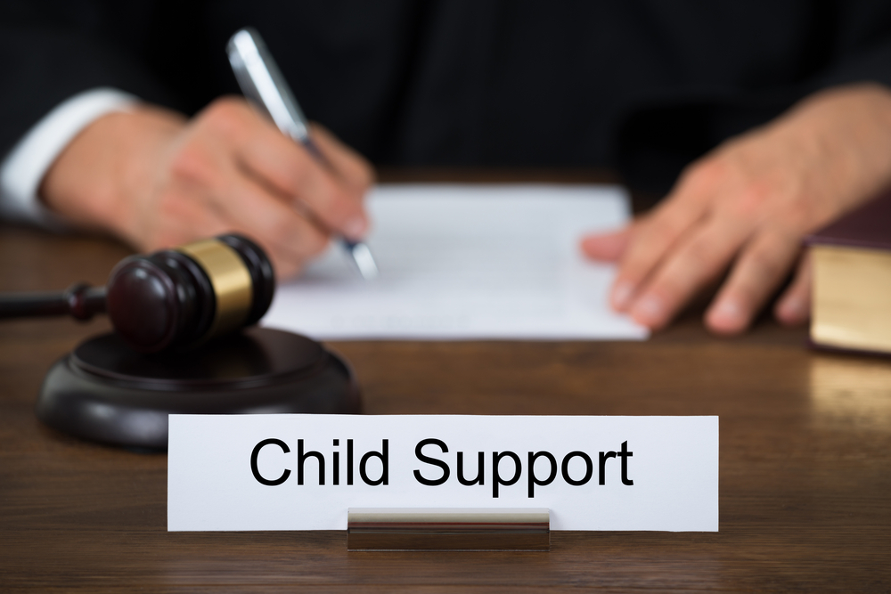 What Is A DCSS Hearing Child Support Experts