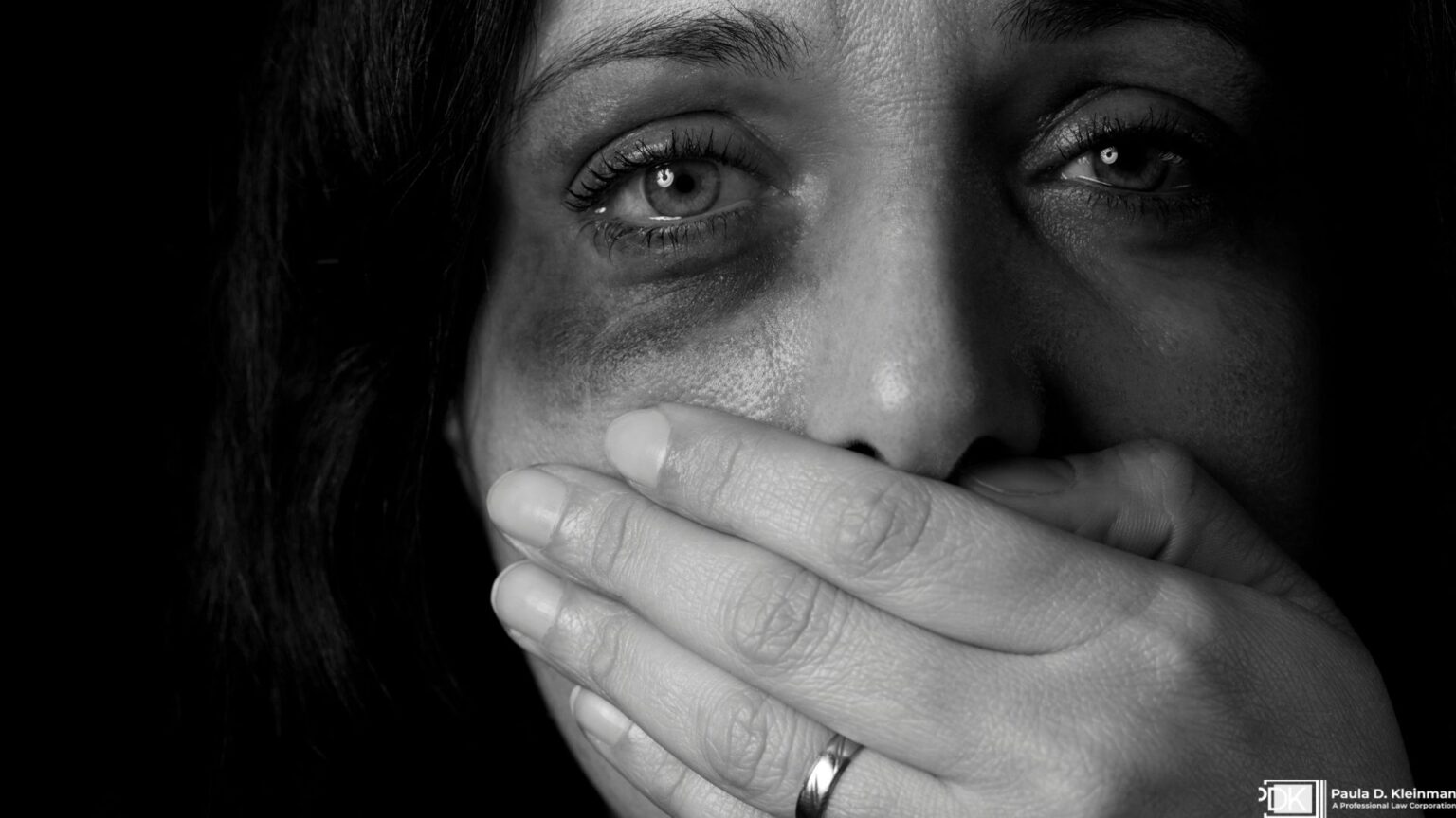 Vista Domestic Violence Lawyer Skilled Attorney