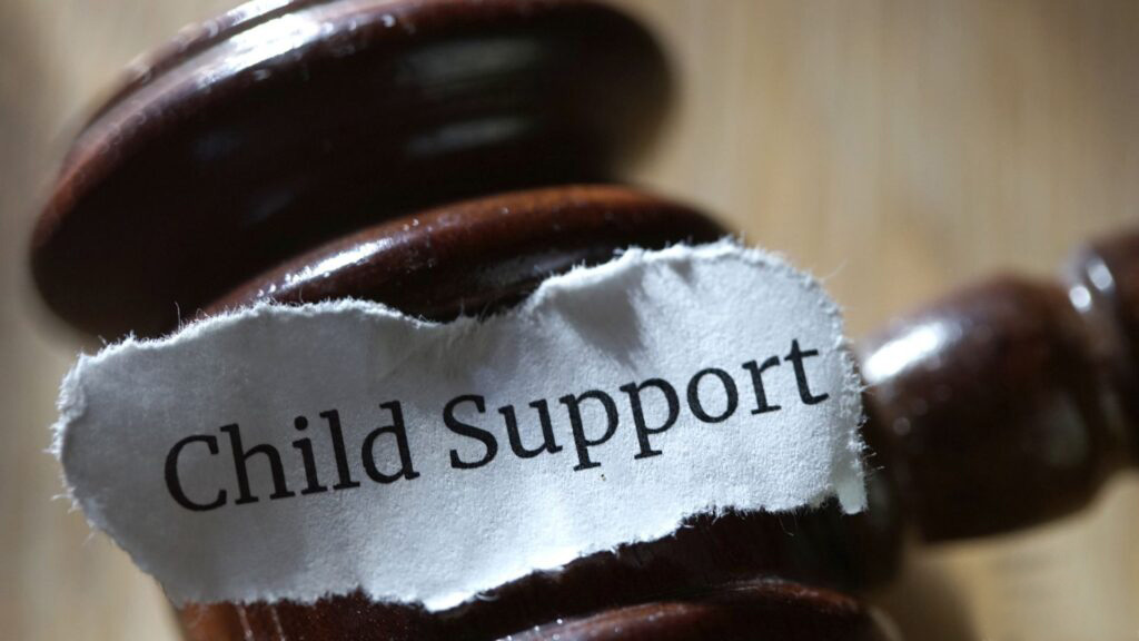 Vista Child Support Arrearages Lawyer